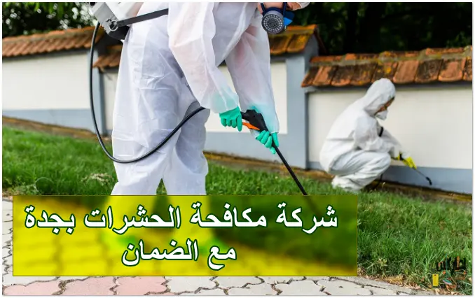 شركة مكافحة حشرات بجدة مع الضمان
