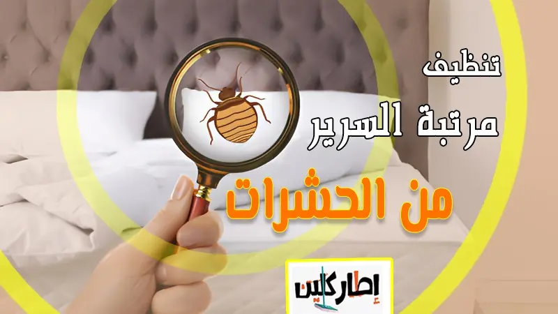 تنظيف مرتبة السرير من الحشرات