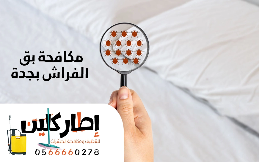 مكافحة بق الفراش بجدة