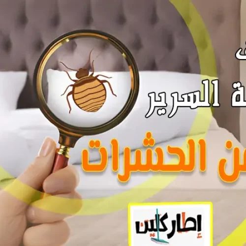 تنظيف مرتبة السرير من الحشرات