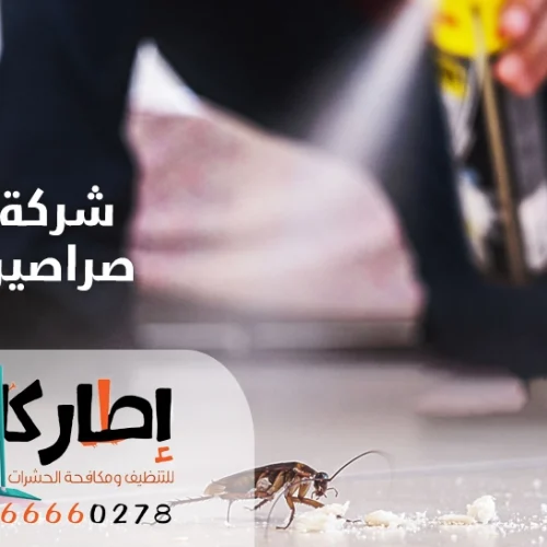 شركة رش صراصير بجدة