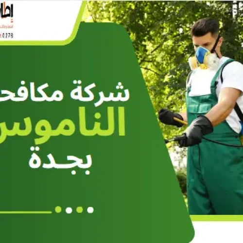 شركة مكافحة الناموس بجدة