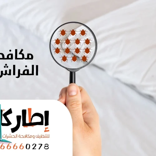 مكافحة بق الفراش بجدة